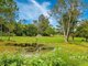 Photo - 126 Mackney Road, Upper Caboolture QLD 4510 - Image 17