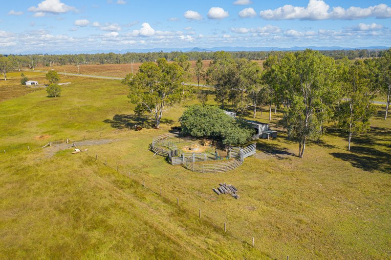 Photo - 126 Middle Road, Purga QLD 4306 - Image 4