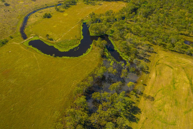 Photo - 126 Middle Road, Purga QLD 4306 - Image 9