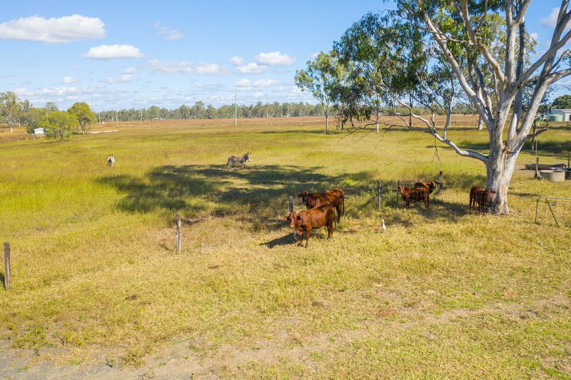 Photo - 126 Middle Road, Purga QLD 4306 - Image 11