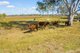 Photo - 126 Middle Road, Purga QLD 4306 - Image 12