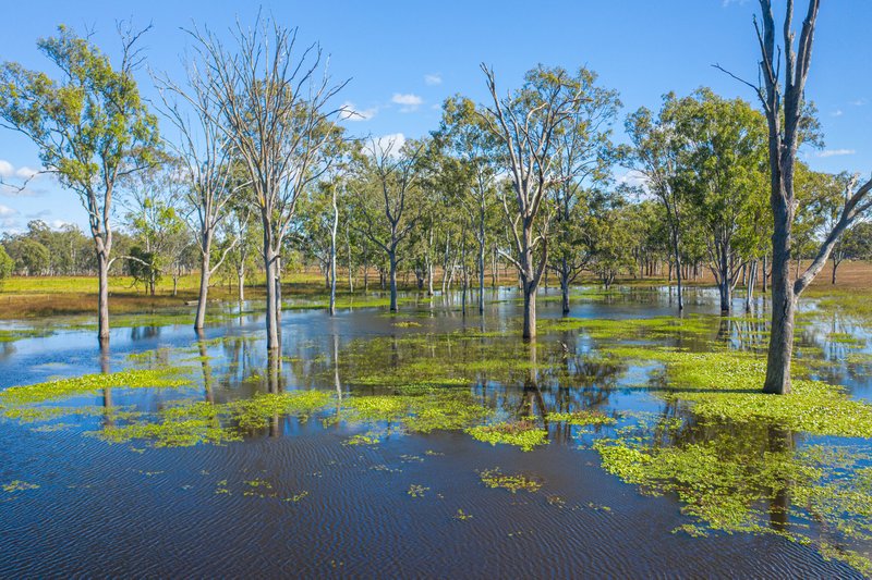 Photo - 126 Middle Road, Purga QLD 4306 - Image 16