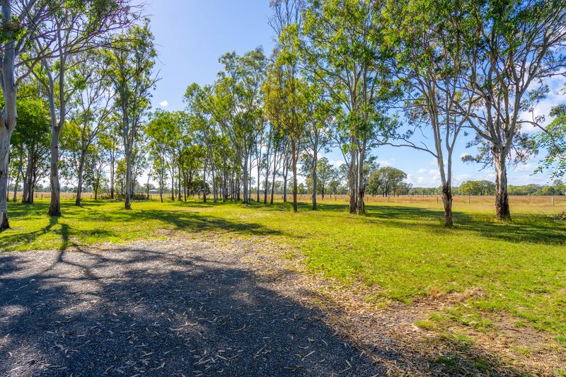 Photo - 126 Middle Road, Purga QLD 4306 - Image 26