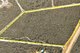 Photo - 126 Orchid Road, Hopetoun WA 6348 - Image 3