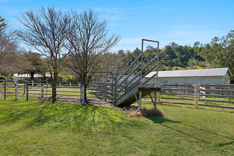 Photo - 126 Sugarloaf Road, Dungog NSW 2420 - Image 11