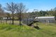 Photo - 126 Sugarloaf Road, Dungog NSW 2420 - Image 11