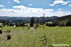 Photo - 126 Thomsons Road, Allens Rivulet TAS 7150 - Image 14