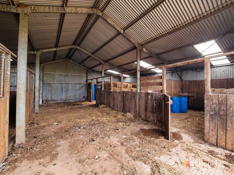 Photo - 1260 Oldina Road, Oldina TAS 7325 - Image 20