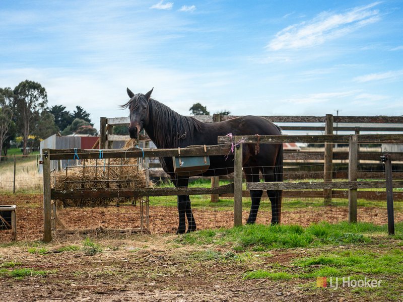 Photo - 1260 Oldina Road, Oldina TAS 7325 - Image 22