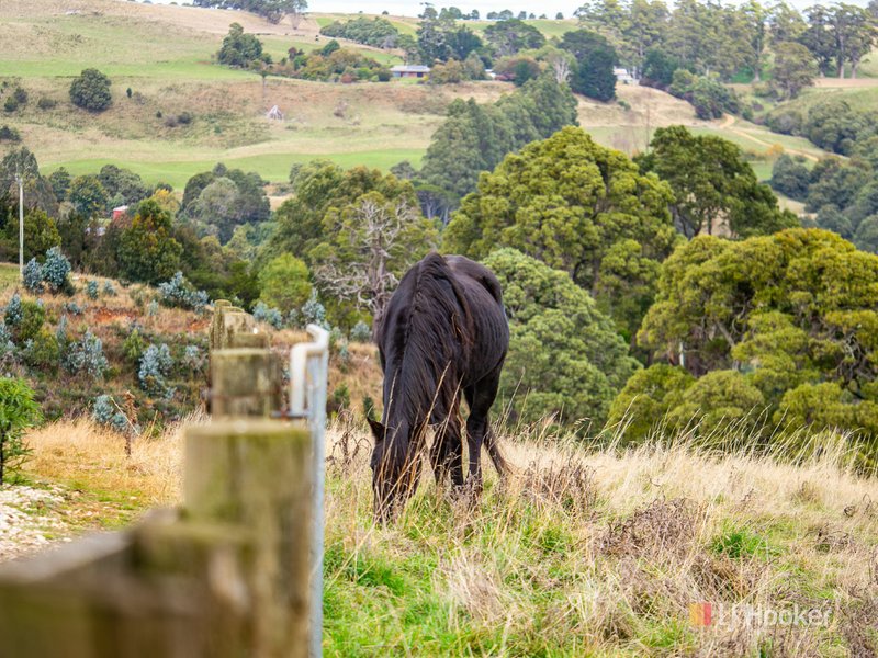 Photo - 1260 Oldina Road, Oldina TAS 7325 - Image 23
