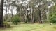 Photo - 1261 Sheepwash Road, Fitzroy Falls NSW 2577 - Image 13