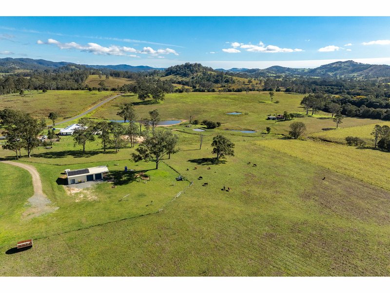 Photo - 1262 Willina Road, Bunyah NSW 2429 - Image 3