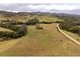 Photo - 1262 Willina Road, Bunyah NSW 2429 - Image 6