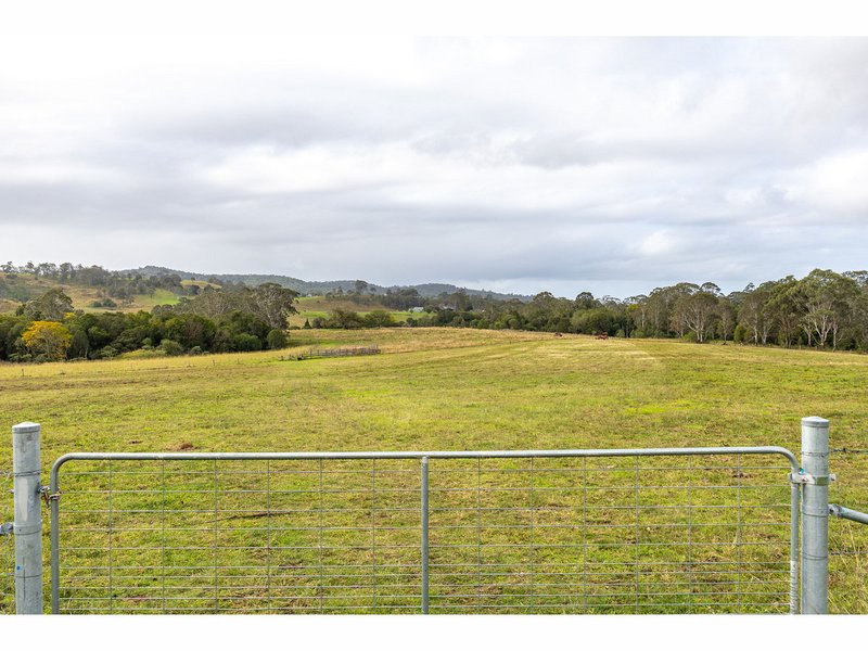 Photo - 1262 Willina Road, Bunyah NSW 2429 - Image 8