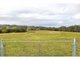 Photo - 1262 Willina Road, Bunyah NSW 2429 - Image 8