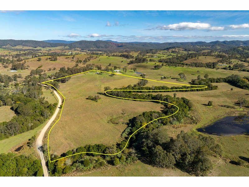 Photo - 1262 Willina Road, Bunyah NSW 2429 - Image 9
