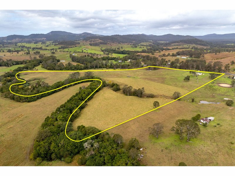 Photo - 1262 Willina Road, Bunyah NSW 2429 - Image 11