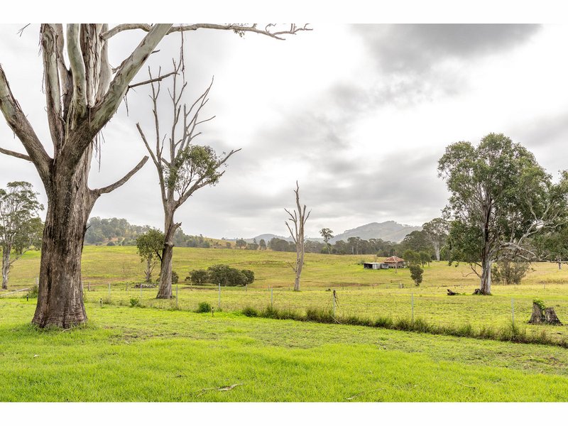 Photo - 1262 Willina Road, Bunyah NSW 2429 - Image 20