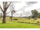 Photo - 1262 Willina Road, Bunyah NSW 2429 - Image 20