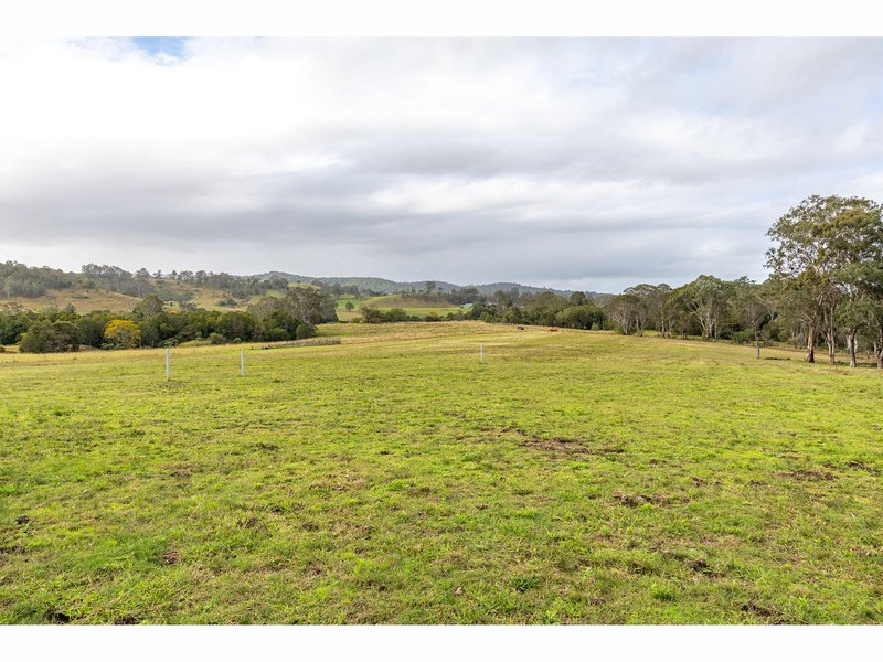 Photo - 1262 Willina Road, Bunyah NSW 2429 - Image 21