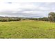 Photo - 1262 Willina Road, Bunyah NSW 2429 - Image 21