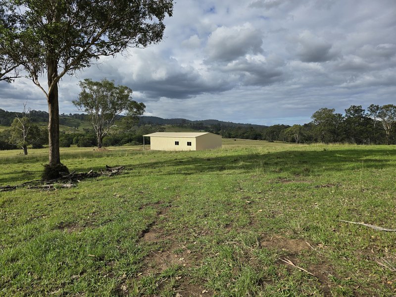 Photo - 1262 Willina Road, Bunyah NSW 2429 - Image 2