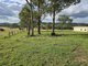 Photo - 1262 Willina Road, Bunyah NSW 2429 - Image 3