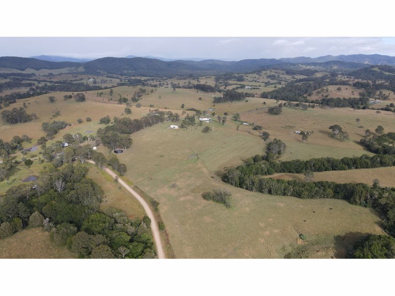 Photo - 1262 Willina Road, Bunyah NSW 2429 - Image 8