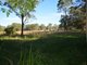 Photo - 1266 Manning Point Road, Mitchells Island NSW 2430 - Image 5