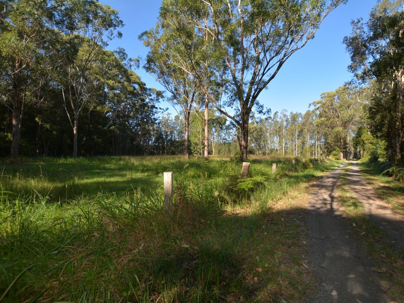 Photo - 1266 Manning Point Road, Mitchells Island NSW 2430 - Image 6