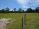 Photo - 1266 Manning Point Road, Mitchells Island NSW 2430 - Image 22