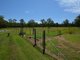 Photo - 1266 Manning Point Road, Mitchells Island NSW 2430 - Image 23