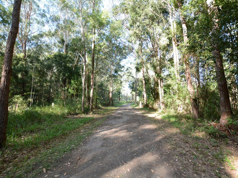 Photo - 1266 Manning Point Road, Mitchells Island NSW 2430 - Image 25