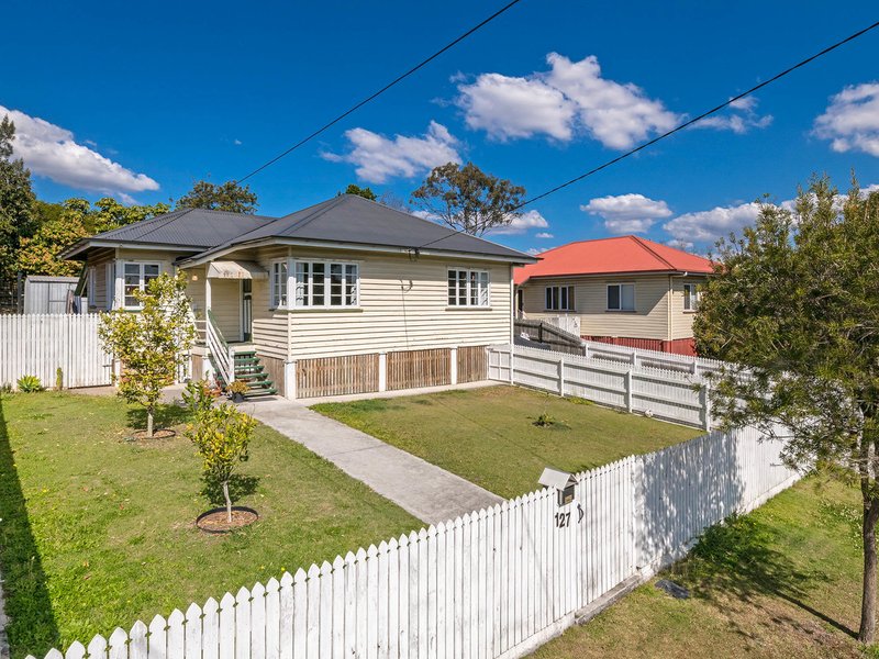 127 Beddoes Street, Holland Park QLD 4121