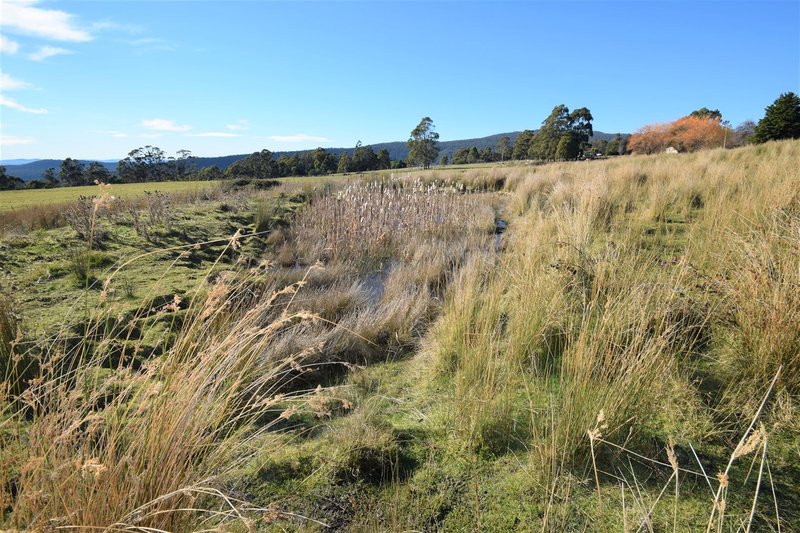 Photo - 127 Brodies Road, Golden Valley TAS 7304 - Image 8