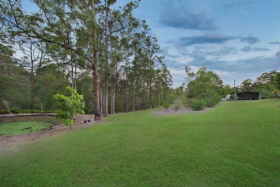 Photo - 127 Browns Creek Road, Bridges QLD 4561 - Image 12