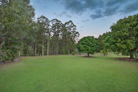 Photo - 127 Browns Creek Road, Bridges QLD 4561 - Image 13