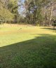 Photo - 127 Cedar Party Road, Taree NSW 2430 - Image 2