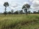 Photo - 127 Green Swamp Road, Bowen QLD 4805 - Image 4