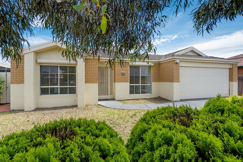 127 Hothlyn Drive, Craigieburn VIC 3064