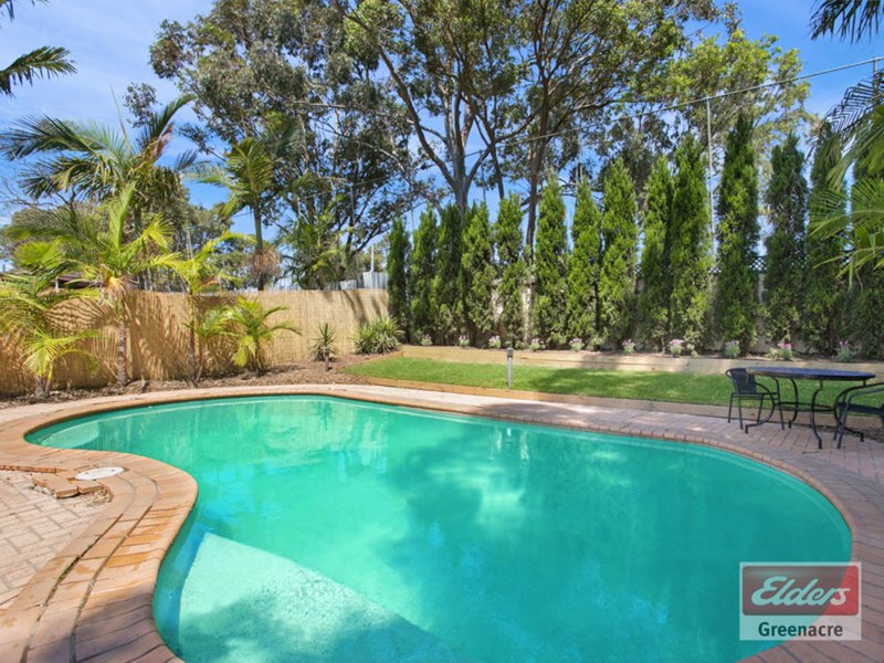 Photo - 127 Rawson Road, Greenacre NSW 2190 - Image 7