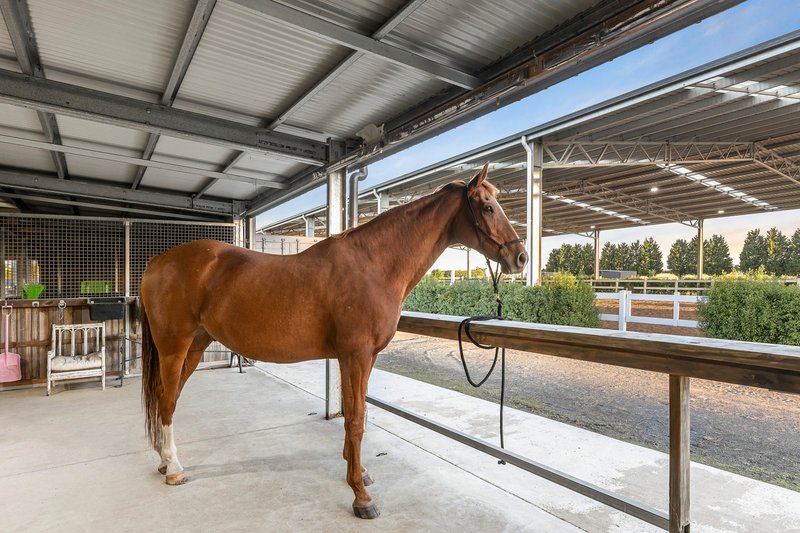 Photo - 127 School Lane, Cambrian Hill VIC 3352 - Image 5