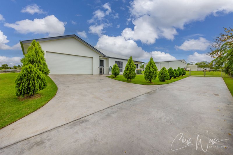 Photo - 127 Sippel Drive, Woodford QLD 4514 - Image 7