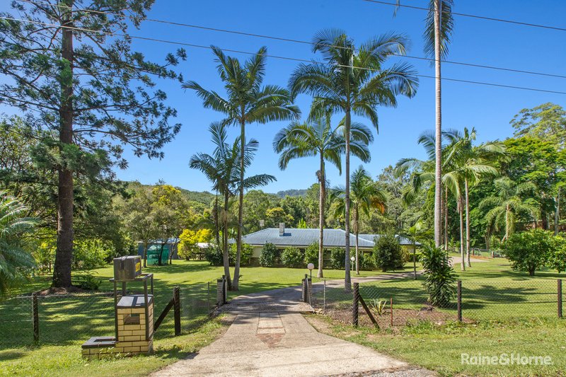 127 Smiths Creek Road, Smiths Creek NSW 2484