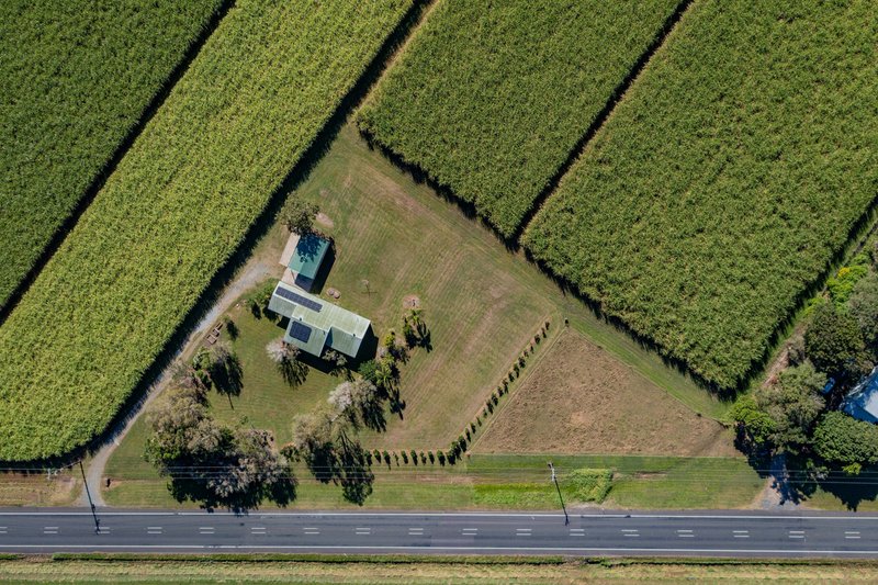 Photo - 12706 Bruce Highway, Hamilton Plains QLD 4800 - Image 15