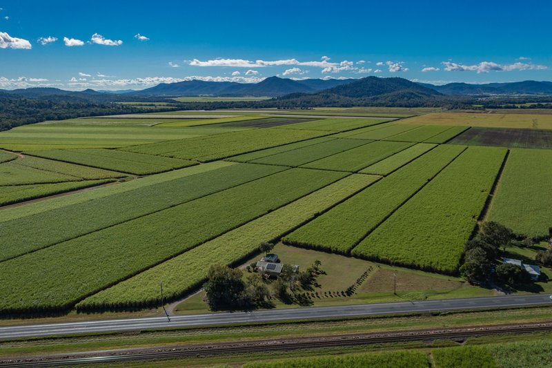 Photo - 12706 Bruce Highway, Hamilton Plains QLD 4800 - Image 16