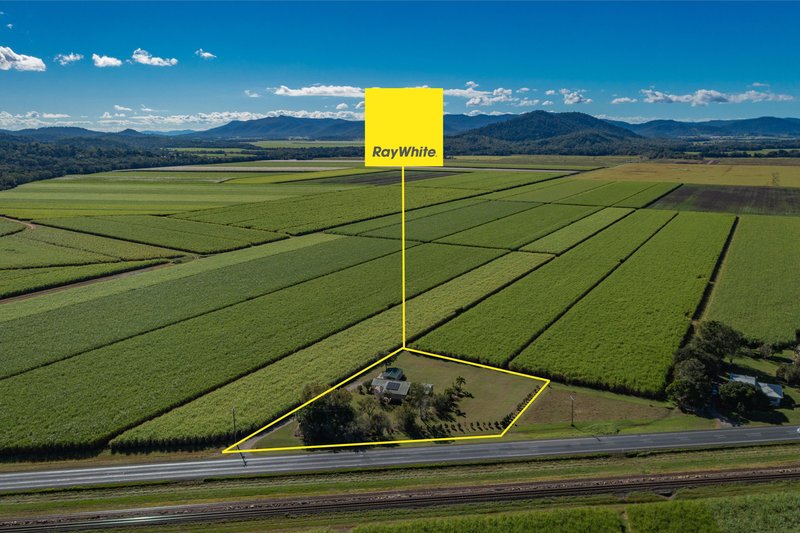 Photo - 12706 Bruce Highway, Hamilton Plains QLD 4800 - Image 19