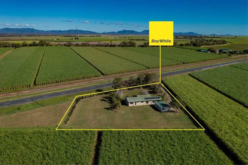 Photo - 12706 Bruce Highway, Hamilton Plains QLD 4800 - Image 22