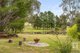 Photo - 1271 Beechworth-Wangaratta Road, Everton Upper VIC 3678 - Image 18