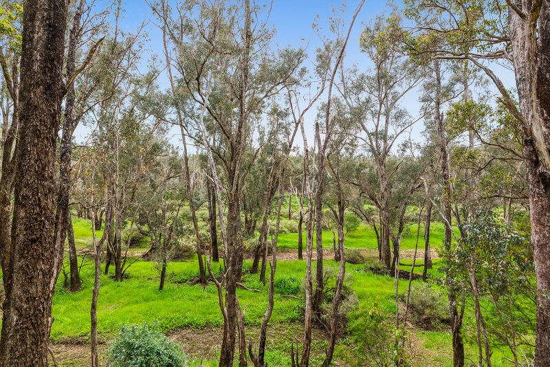 Photo - 1274 Boundary Road, Nannup WA 6275 - Image 6